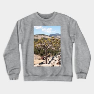 The Story Teller Crewneck Sweatshirt